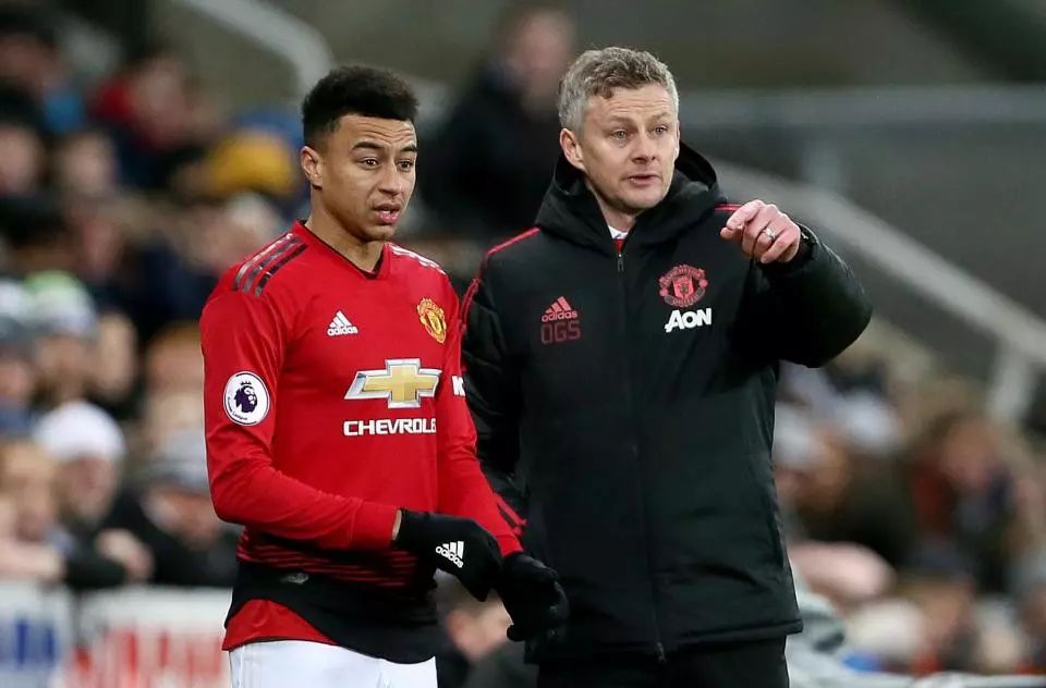 化体能训练 化体能训练